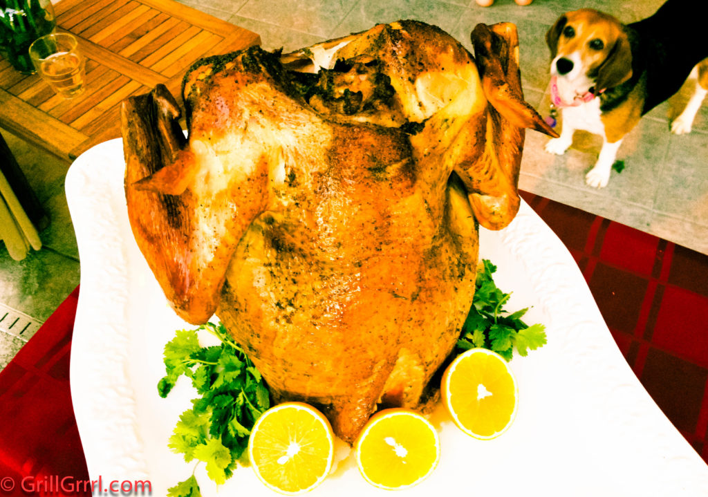 beer can turkey on the big green egg beer can turkey, sittin turkey steamer, turkey on the big green egg