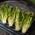 grilled romaine lettuce