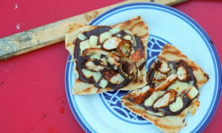 BBQ Sauce Lovers Grilled BBQ Chicken Mini Pizzas
