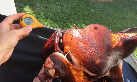 How to Cook Turkey on the Grill