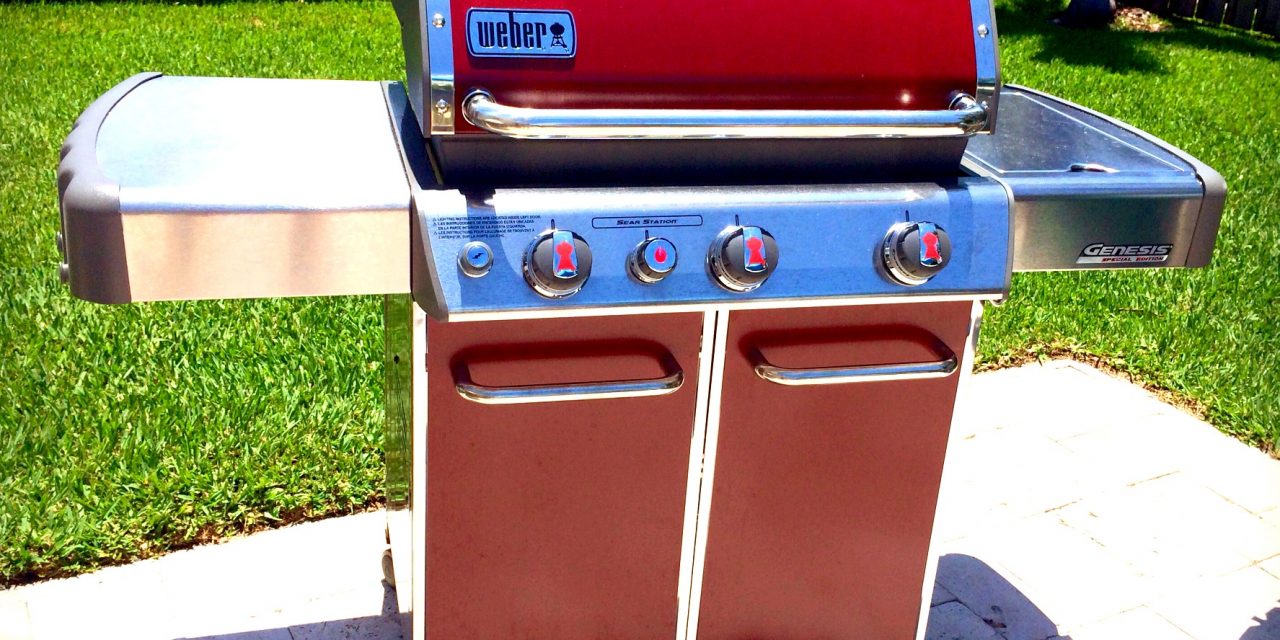 2014 Weber Genesis Ep 330 Review This Grill Kicks Ass Grillgirl,Small Bathroom Ideas With Tub