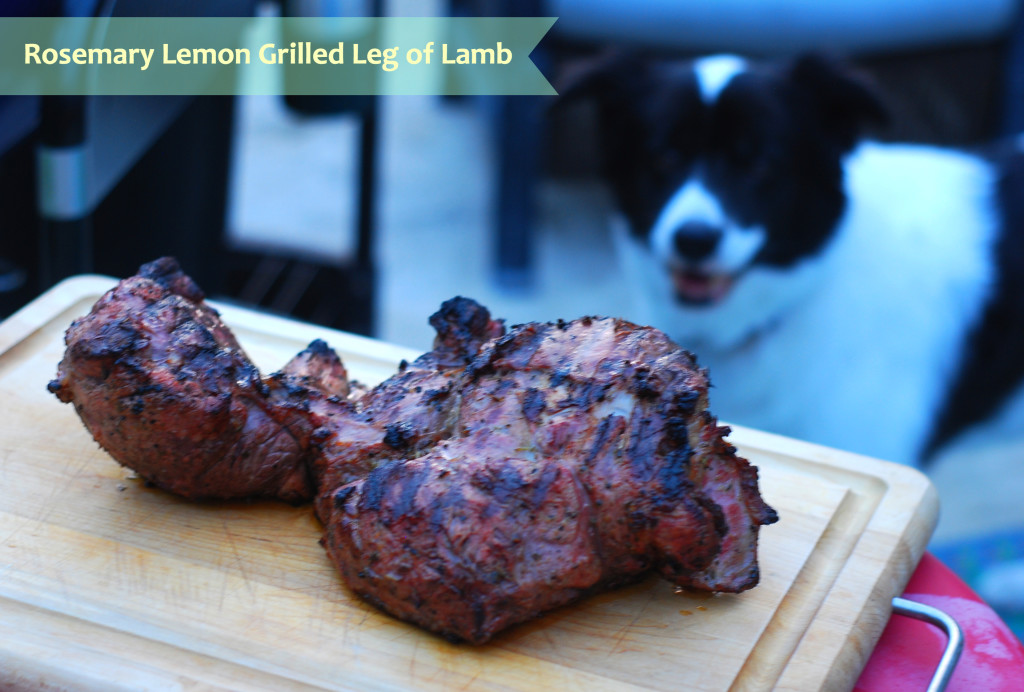 Connor often made it into my blog photos as he was ready for some goodies coming off the grill!