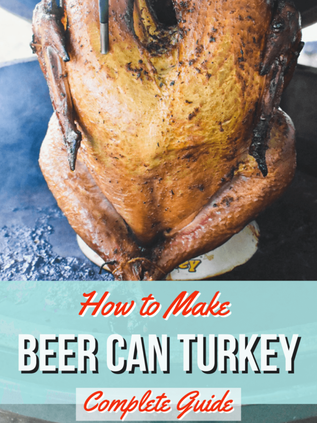 cropped-beer-can-turkey.png