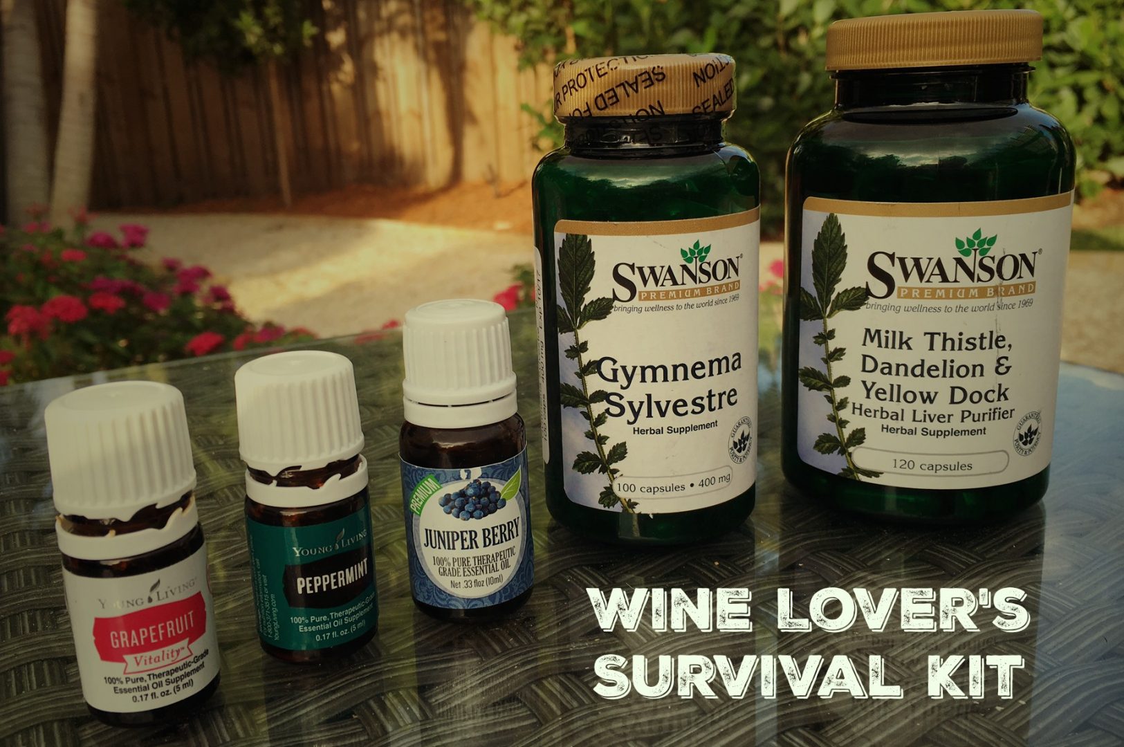 wine lovers survival guide_gymnema for hangovers