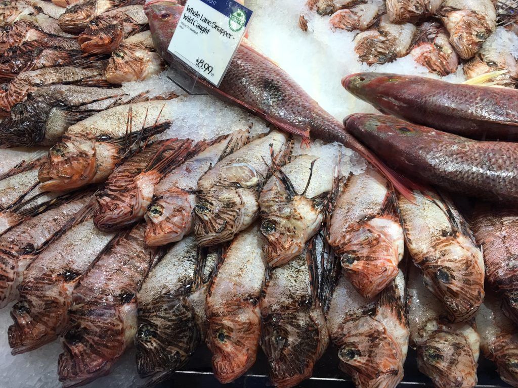 lionfish available at wholefoods