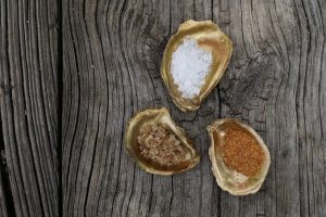 Oyster Shell Salt Cellar_DIY Salt Cellar