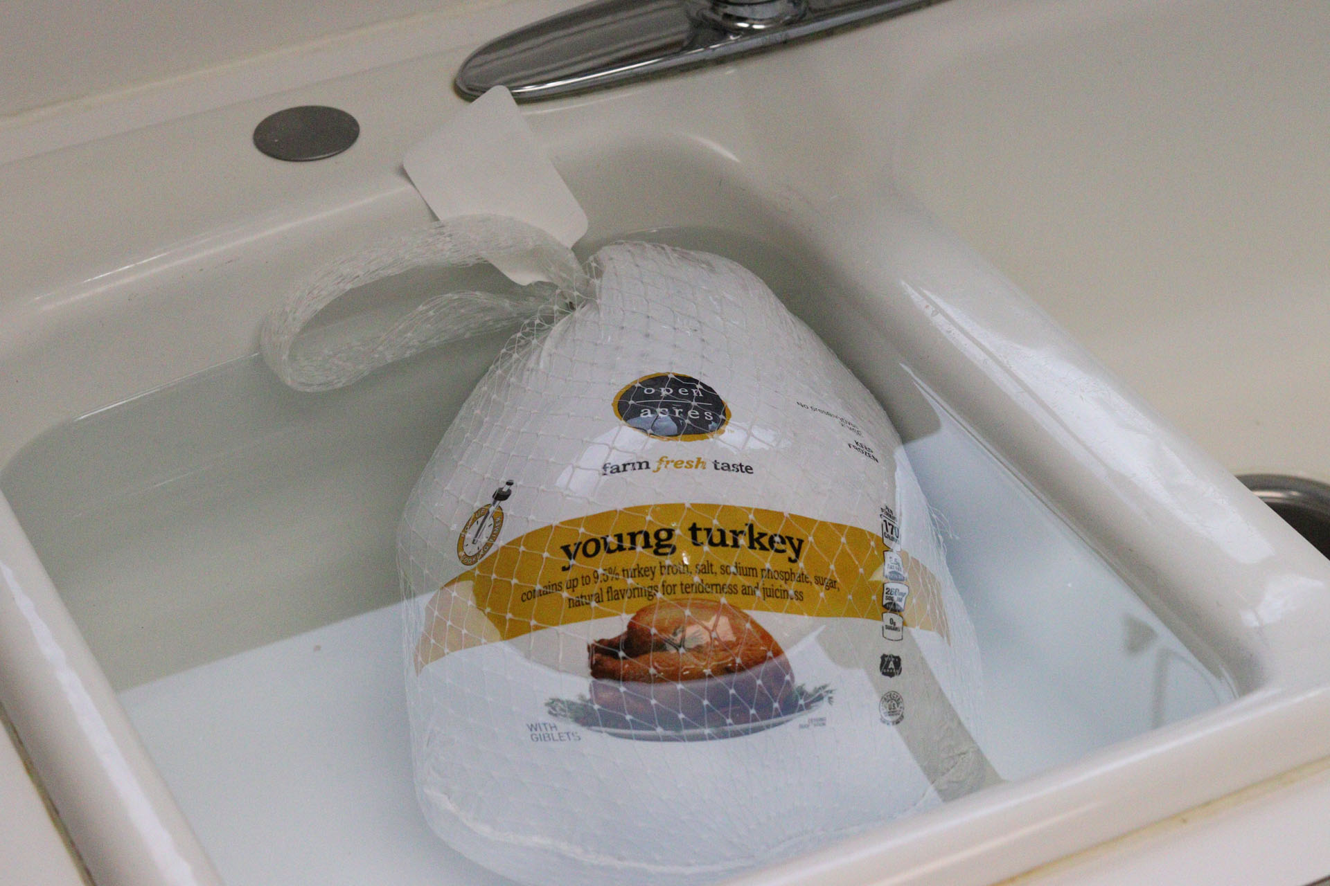 Guide to Cooking Thanksgiving Turkey on a Big Green Egg Grill Girl