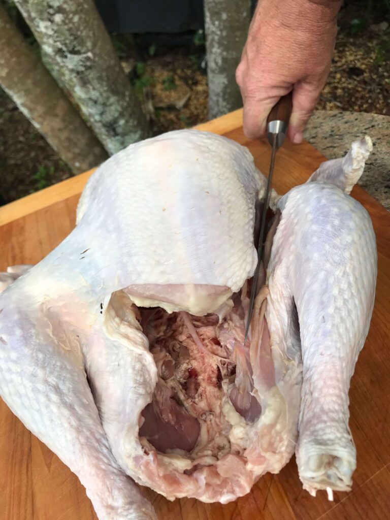 Frog Turkey part two