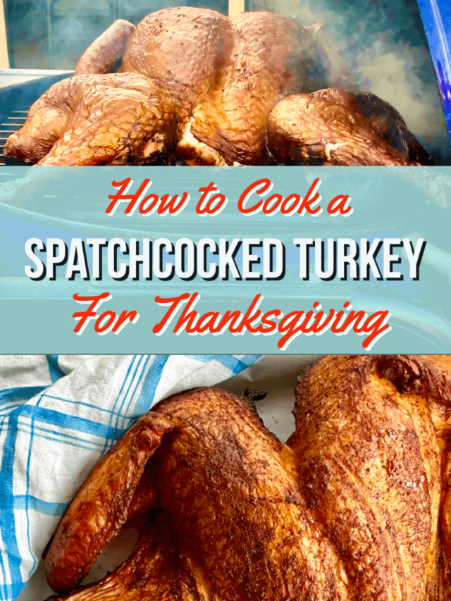 Easy Spatchcocked Turkey Recipe in time for Thanksgving!